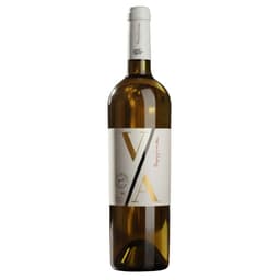 Grover Zampa Vijay Amritraj Reserve Collection White