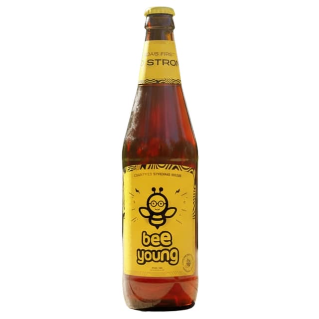 BeeYoung Blast Crafted Strong Beer