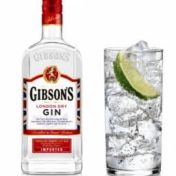 Gin