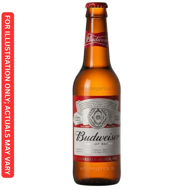 Budweiser magnum 650ml price Haryana| Review | Tasting Notes